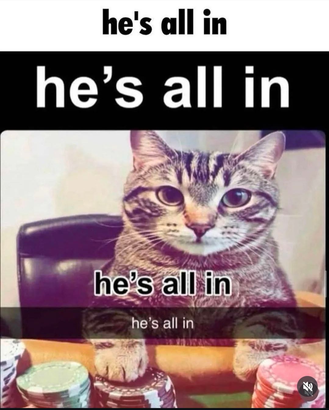 WhatsApp Image 2026-01-05 at 2.43.35 AM (5).jpeg